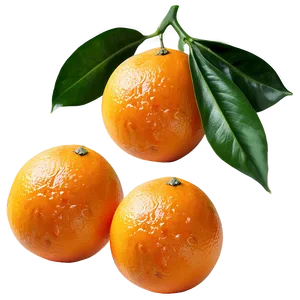 Tangerine Oranges Png 06112024 PNG image