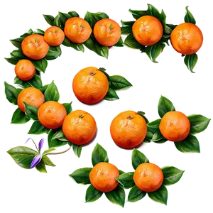 Tangerine With Flowers PNG 6