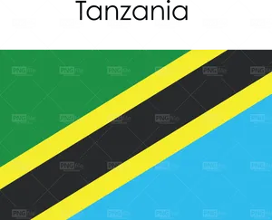 Tanzania Flag Design PNG image