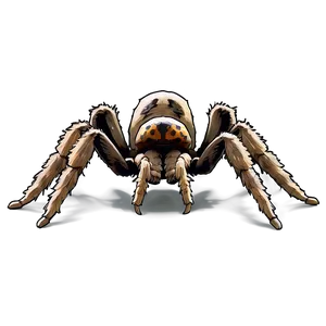 Tarantula Defensive Stance PNG 91