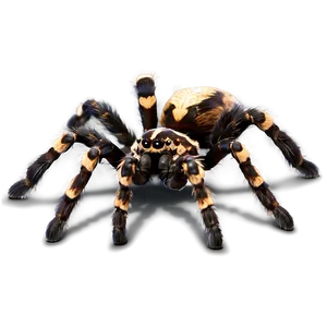 Tarantula Spider Png 5 PNG image