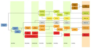 Tea Processing Flowchart PNG