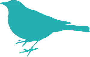 Teal Bird Silhouette