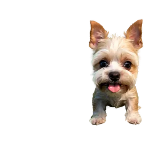 Teary-eyed Terrier Png 06292024 PNG image