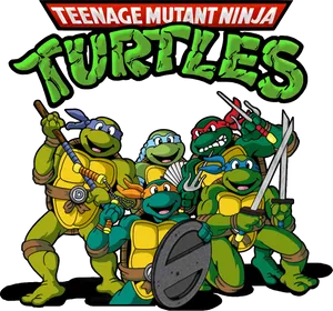 Teenage Mutant Ninja Turtles Group Pose PNG image