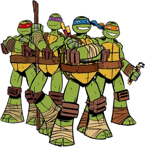 Teenage Mutant Ninja Turtles Group Pose PNG image