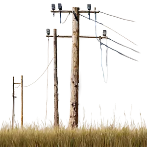 Telephone Pole In Nature PNG 06132024