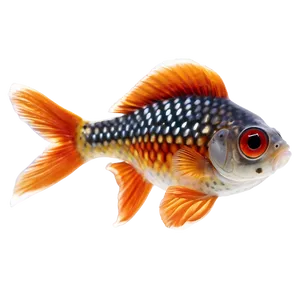 Telescope Eye Goldfish PNG Xud PNG
