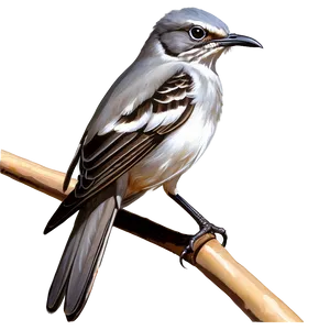 Tennessee State Bird Mockingbird Png Cgx99 PNG image