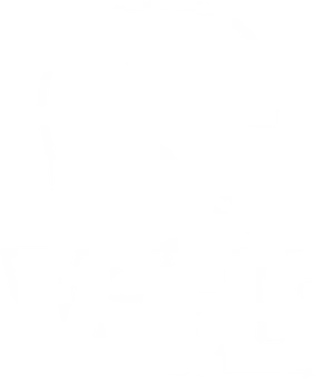 Tennessee Vols Football Helmet Logo PNG image