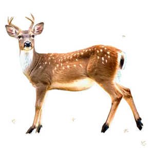 Tennessee Wildlife Deer Png 93 PNG image