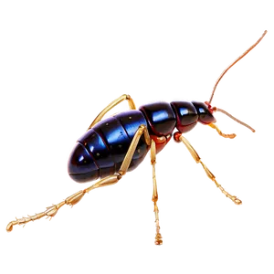 Termite B PNG image