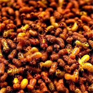 Termite Droppings Picture PNG Sxv87 PNG