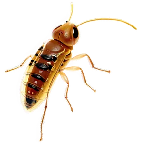 Termite Inspection Badge PNG Jtq