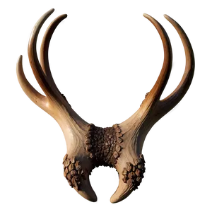 Textured Deer Antler PNG 84
