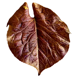 Textured Fall Leaf Png 63 PNG image