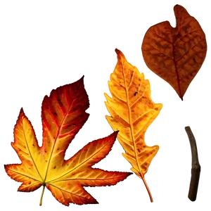 Textured Fall Leaf Png Rcy PNG image