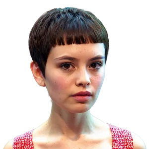 Textured Karen Haircut Png 06212024 PNG image