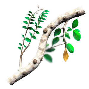 Textured Twig PNG 06132024