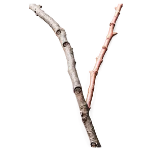 Textured Twig PNG 06132024
