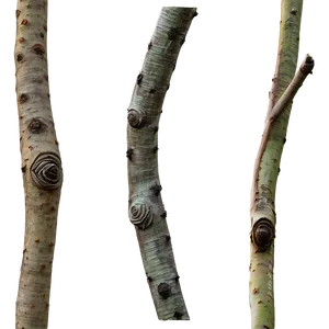 Textured Twig PNG Qbh61 PNG