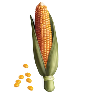 Thanksgiving Corn Decoration Png 76 PNG image
