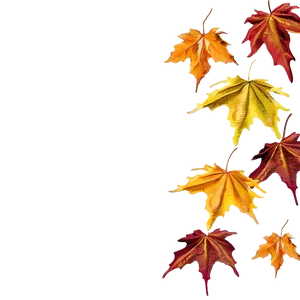 Thanksgiving Maple Leaves Png 05212024 PNG image
