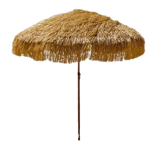 Thatched Beach Umbrella