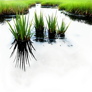 Thick Swamp Grass Png Pna PNG image