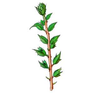 Thorny Plant PNG 42