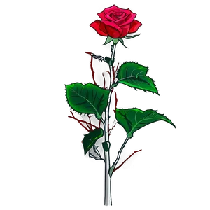 Thorny Rose Stem PNG 06132024 PNG
