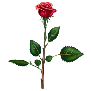 Thorny Rose Stem PNG Ixu1 PNG