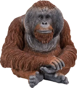 Thoughtful Orangutan Portrait PNG image