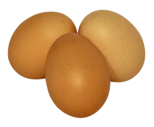 Three Brown Eggson Gray Background PNG image