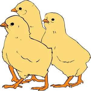 Three Cartoon Chicks Standing PNG image