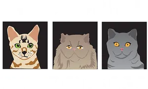 Three Cats Ago Funny Quote PNG image