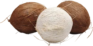 Three Coconuts Isolatedon Background