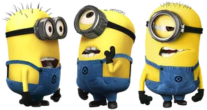 Three Minions Expressions PNG image