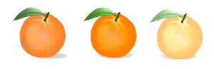 Three Oranges Color Gradient