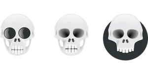 Three Skull Graphic Variations