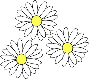 Three White Daisies Illustration.png PNG image