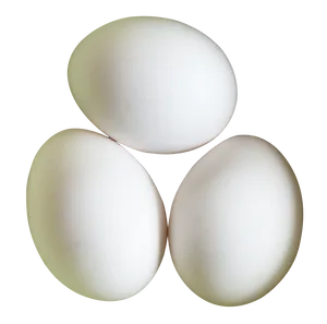 Three White Eggson Gray Background PNG image