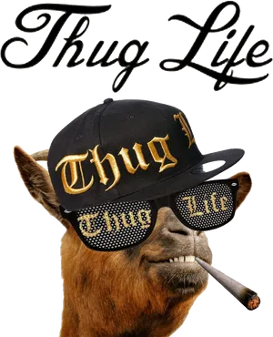 Thug Life Camelwith Attitude.png PNG image