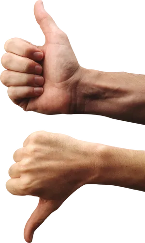 Thumbs Upand Down Gestures PNG image