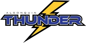 Thunder Logo Design PNG image