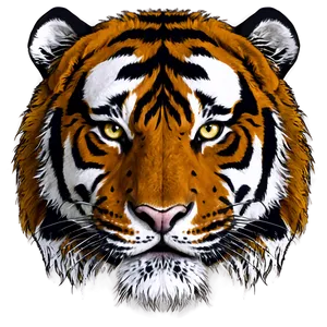Tiger Face In Detail PNG 06252024