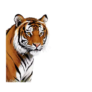 Tiger Face In Shadows PNG 23