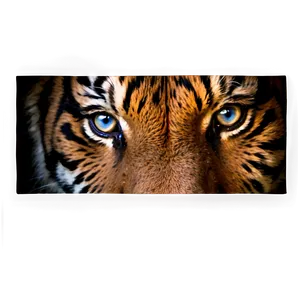 Tiger Face On Dark Background PNG 06252024 PNG