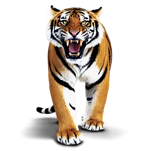 Tiger Full Of Anger PNG 06252024