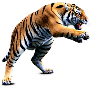 Tiger Full Of Anger PNG Qoi89 PNG